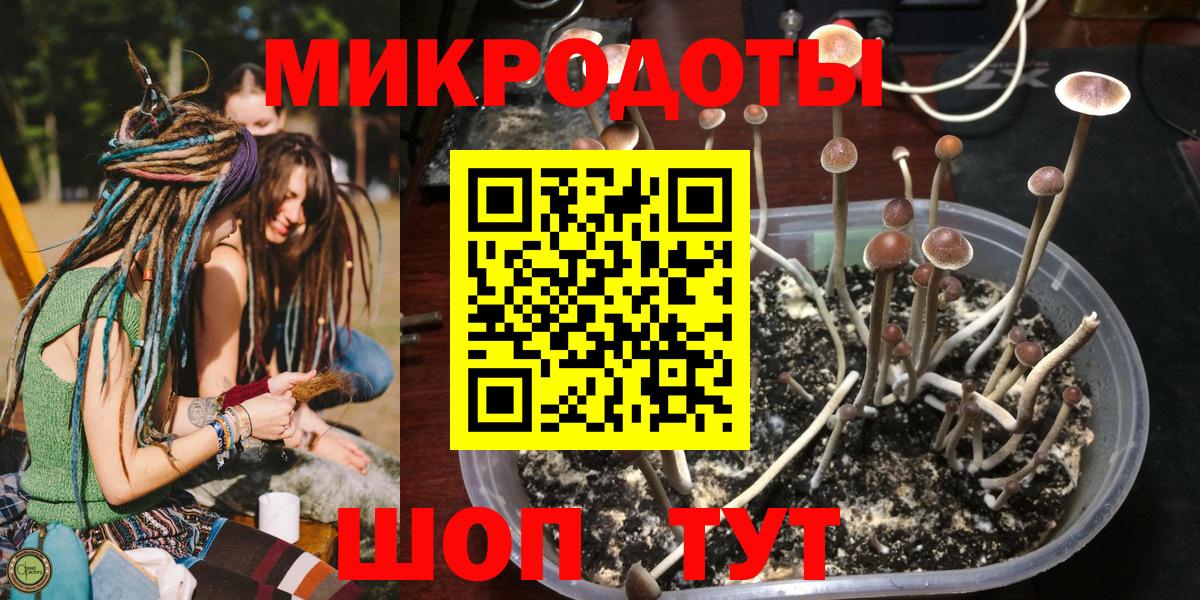 хочу   Псилоцибиновые грибы Magic Shrooms  Галлюциногенные грибы Cubensis  Вход с VPN  Россия 